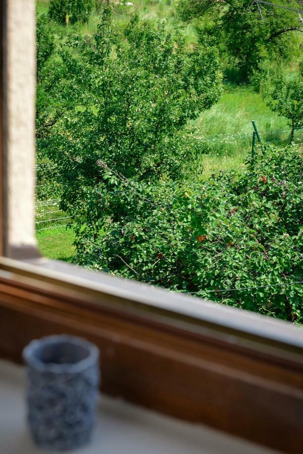 Apartman Filip Novi Pazar Buitenkant foto